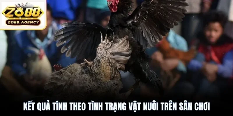Kết quả tính theo tình trạng vật nuôi trên sân chơi